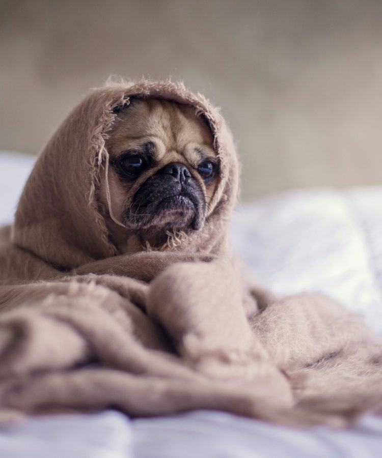 SERGAME? GAL TAI – NUOLAT PATIRIAMO STRESO PASEKMĖ?